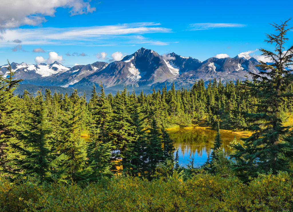 On the Lost Lake Trail, Seward, Alaska