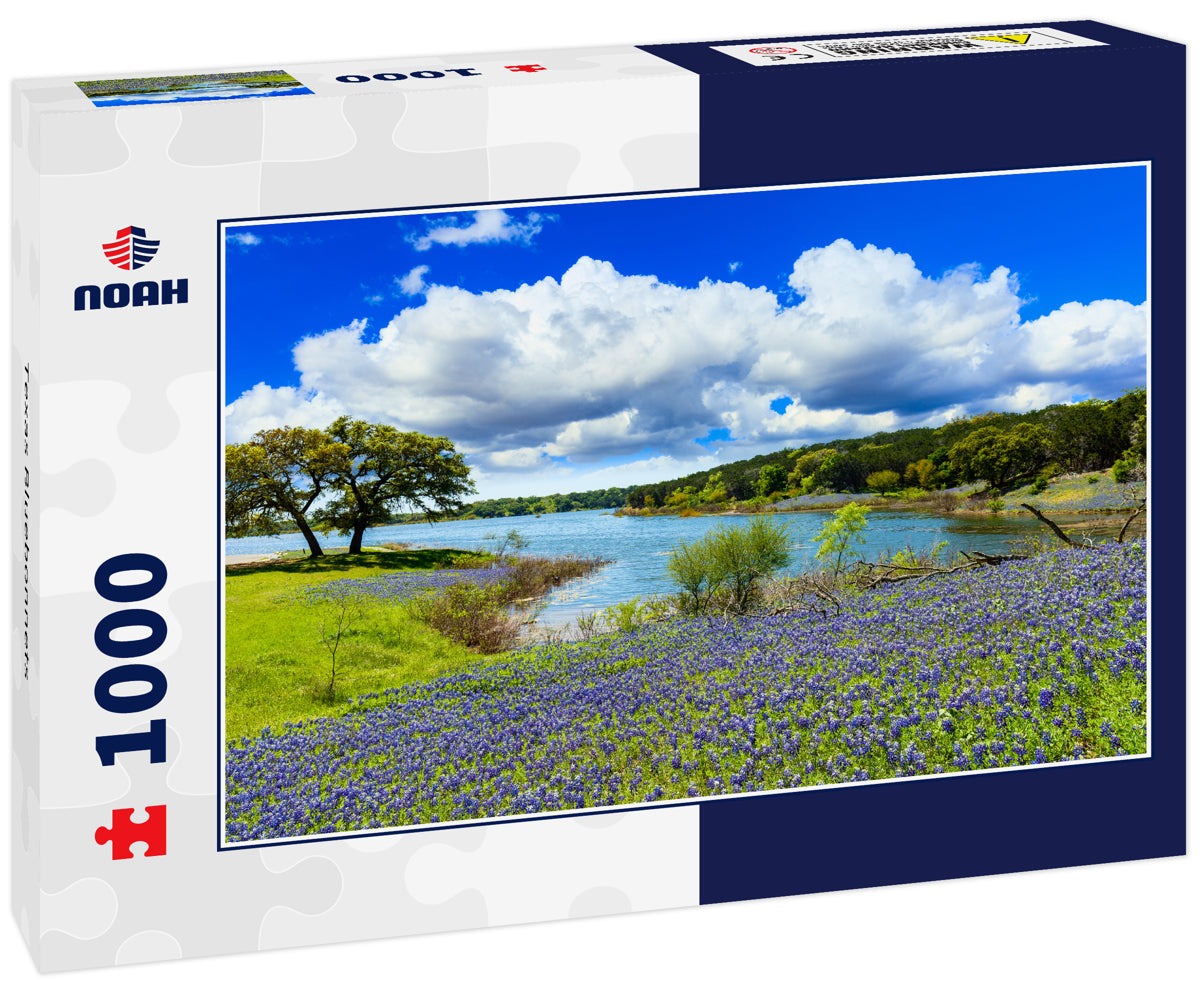 Texas Bluebonnets