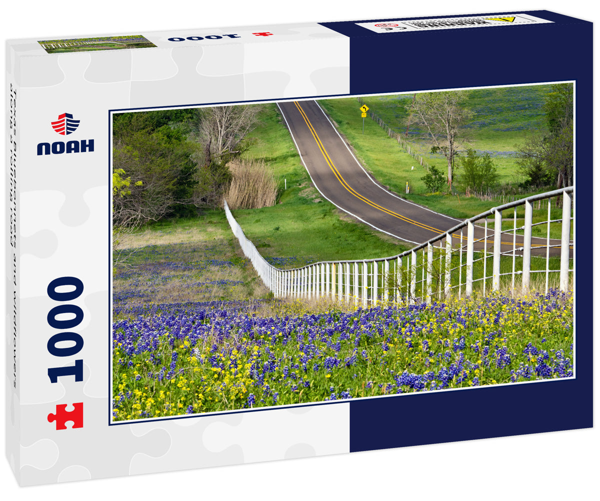 Texas Bluebonnets and wildflowers along a rolling road