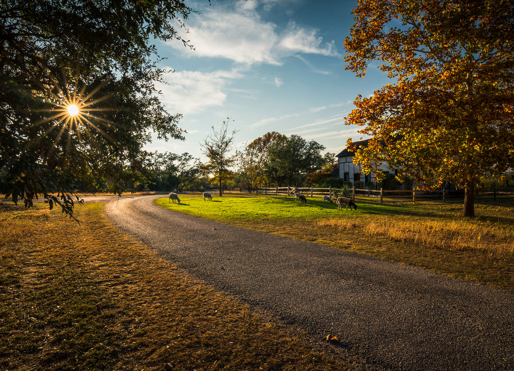 Fredericksburg farm road in autumn, Texas