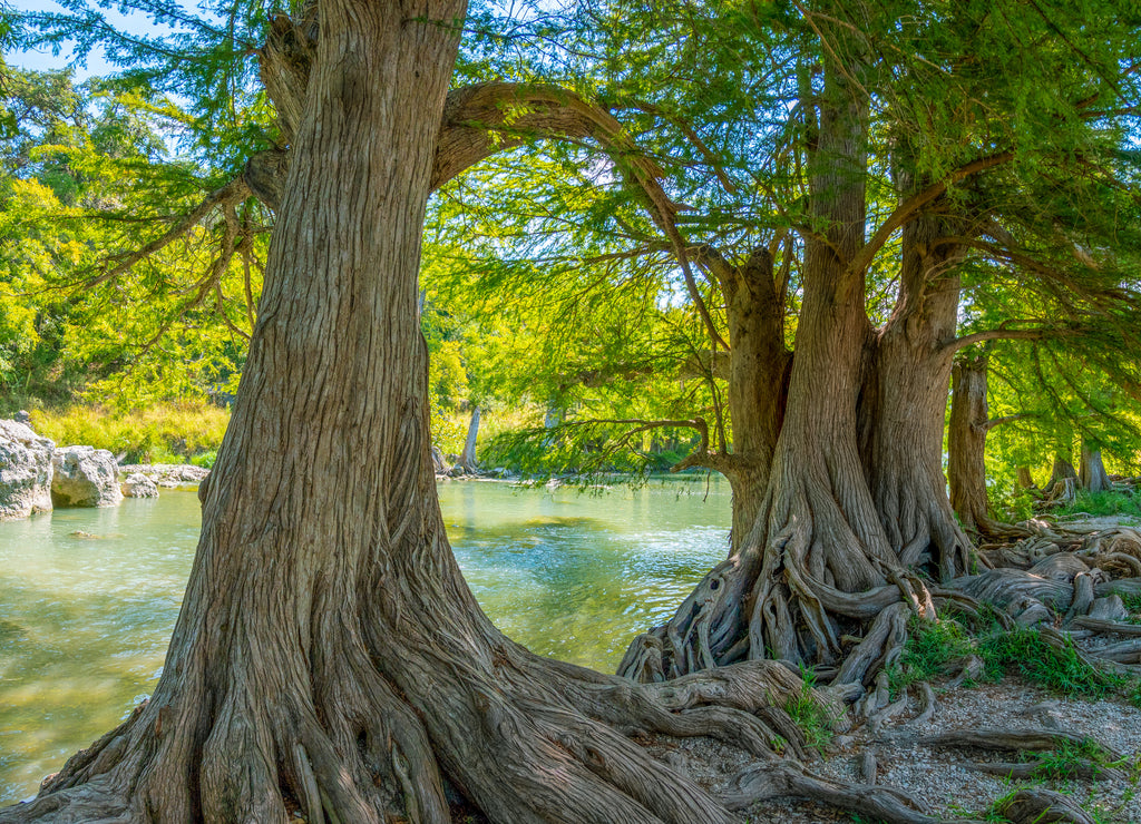 Guadalupe river