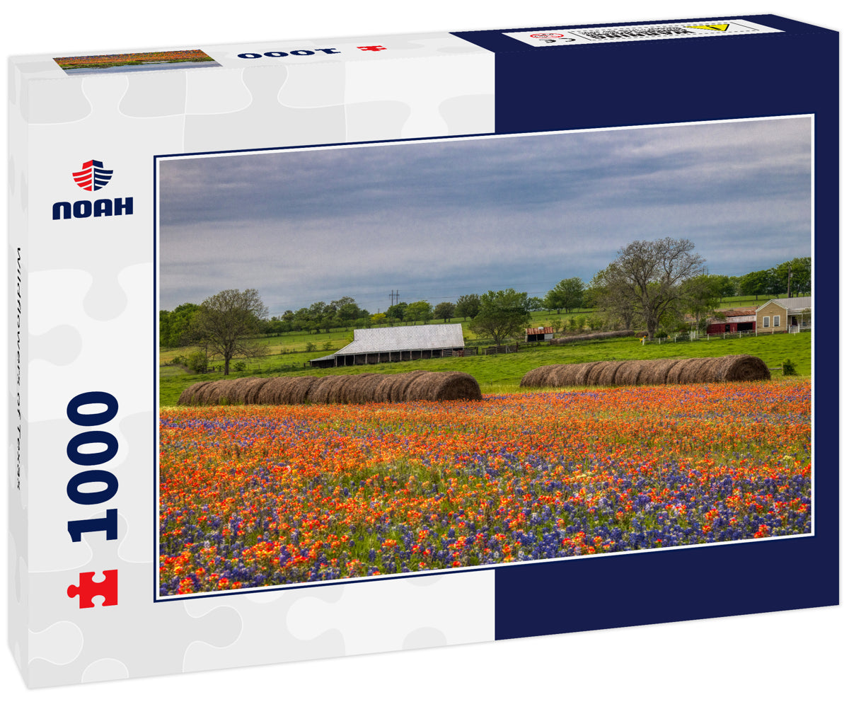 Wildflowers of Texas