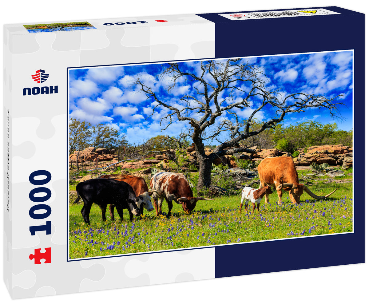 Texas cattle grazing
