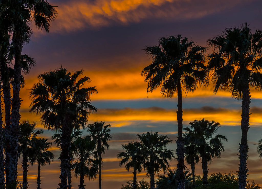 Dramatic vibrant sunset scenery in Donna Victoria Palms RV Resort, Texas