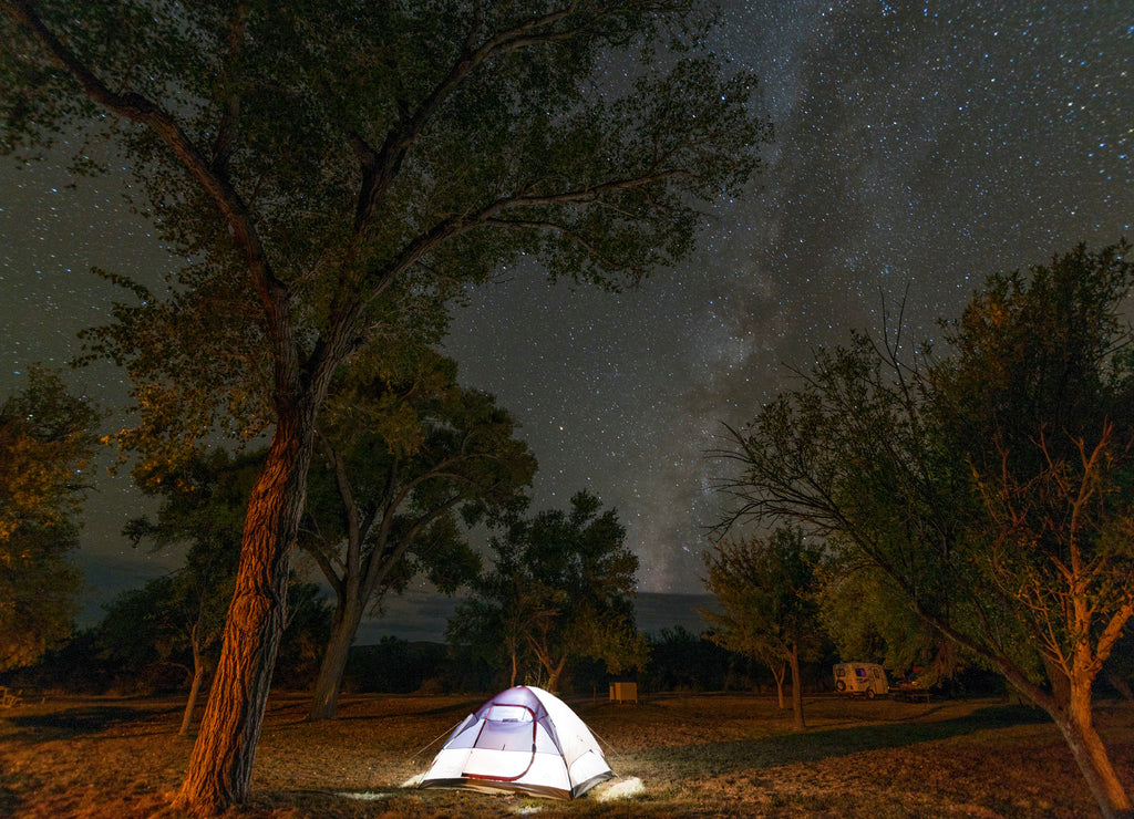 The Milky Way shining through the Trees of a Campground in Big Bend National Park, Texas, USA
