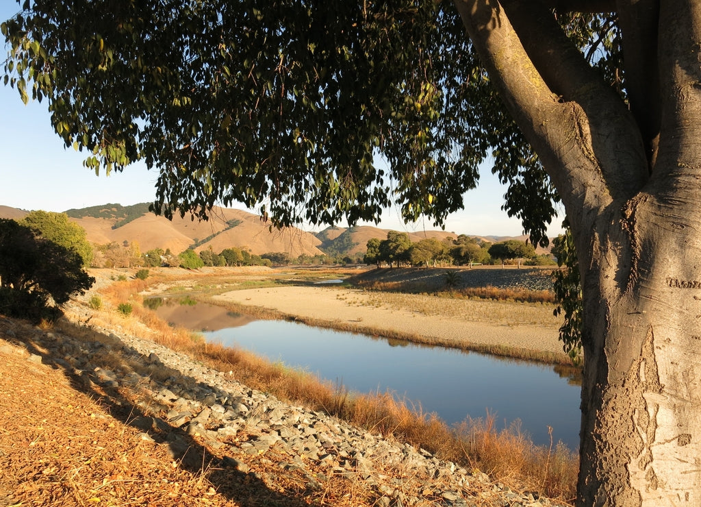 Northern California hills golden landscape Alameda Creek, Fremont, California