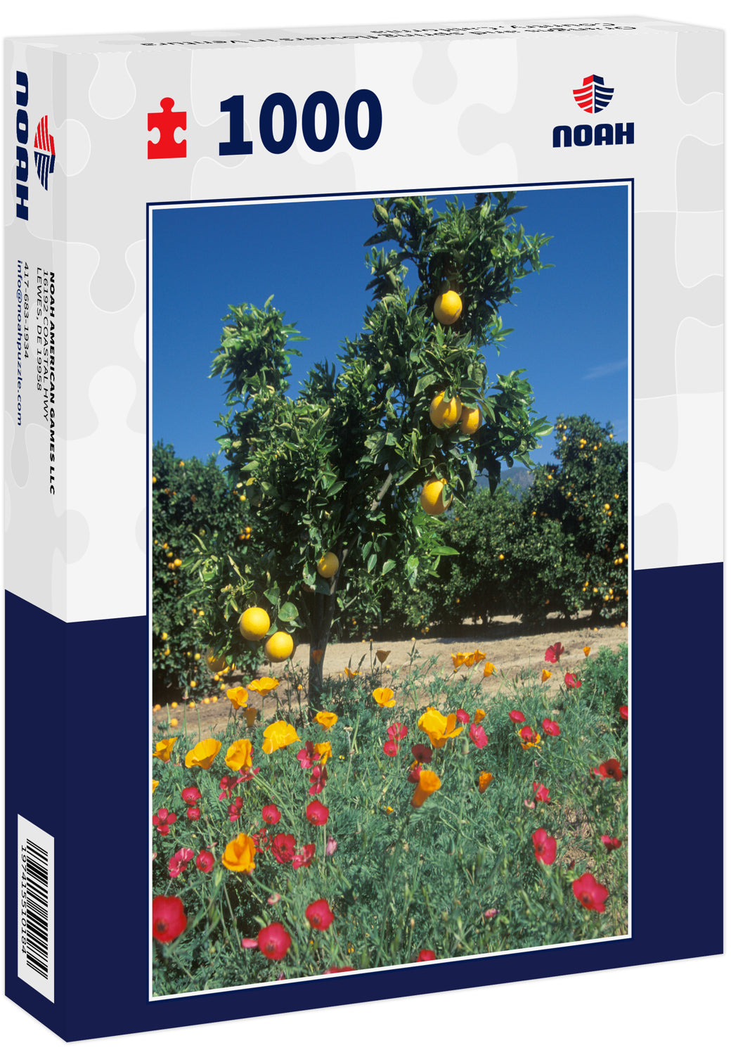 Oranges and spring flowers in Ventura Country, California