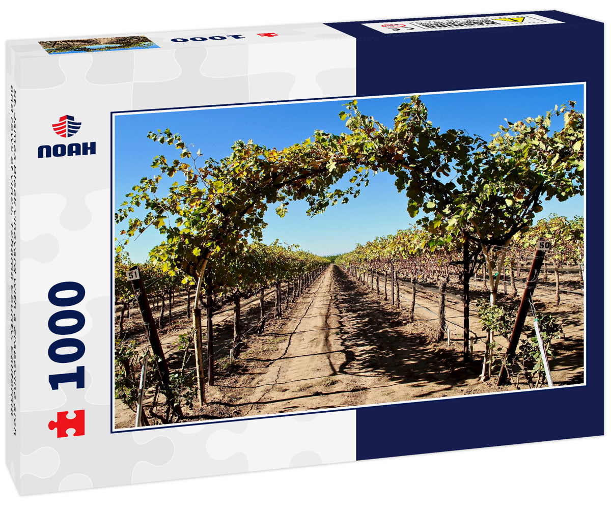 St. James Block vineyard with a grapevine arch and rows of vines, Tehama County, California