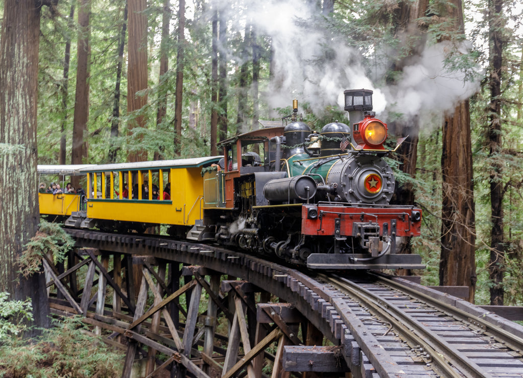 Steam train crossing an old trestle through redwood forest. Felton, Santa Cruz County, California, USA
