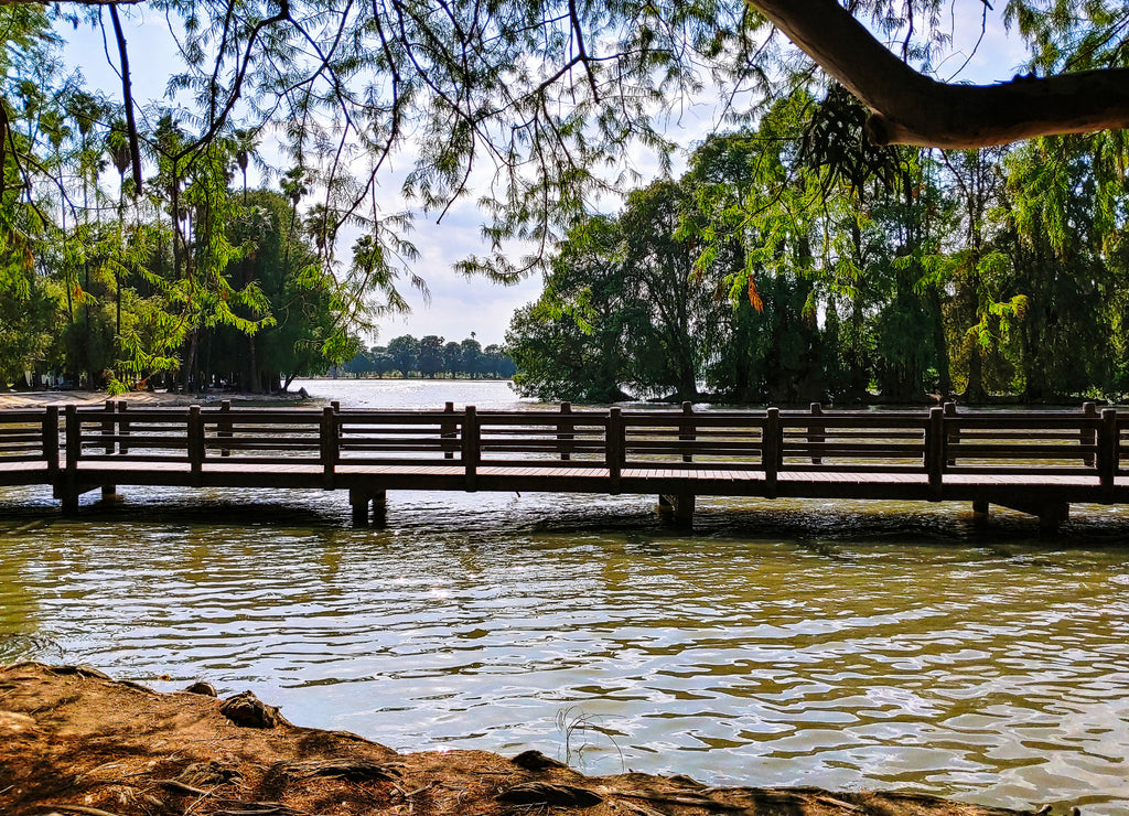 wooden bridge over the lake surrounded by lush green trees and deep green water at Lake Evans at Fairmount Park in Riverside California