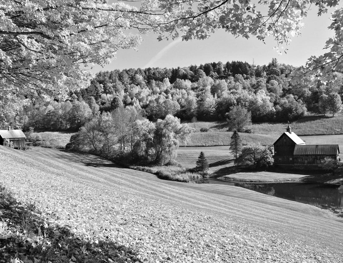 Noah Jigsaw Puzzle A wooden footbridge crosses shady Sulphur Creek in a picnic area in Capitol Reef National Park, Utah in black white 1000 pieces