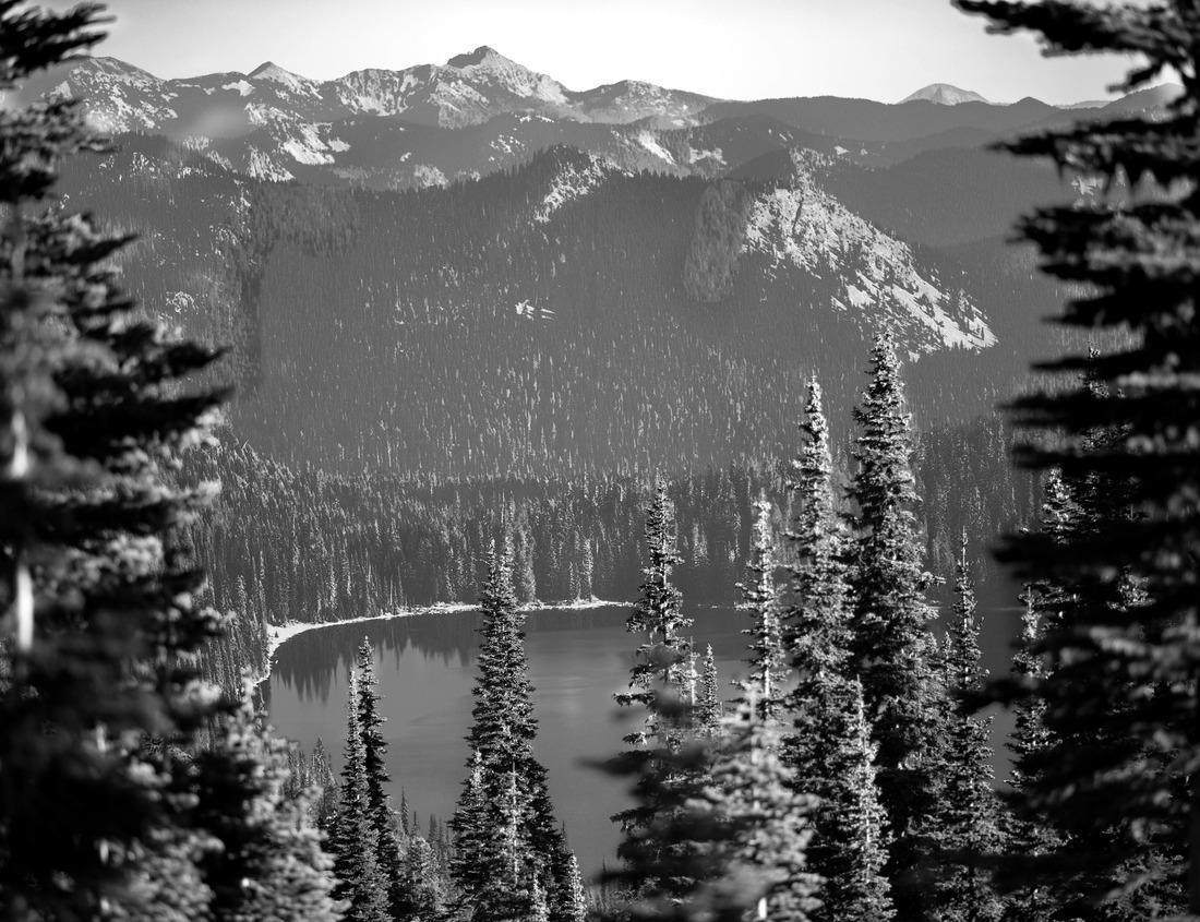 Noah Jigsaw Puzzle Aerial View of the Shopping District of Eden Prairie, Minnesota during Summer in black white 1000 pieces