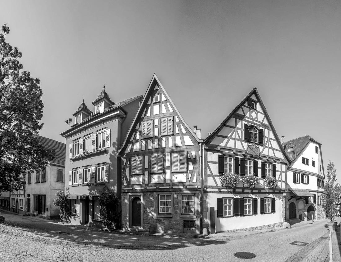 Noah Jigsaw Puzzle Edith Creek in Mount Rainier National Park flows in front of the volcanic peak as fall colors cover the hillside in black white 1000 pieces