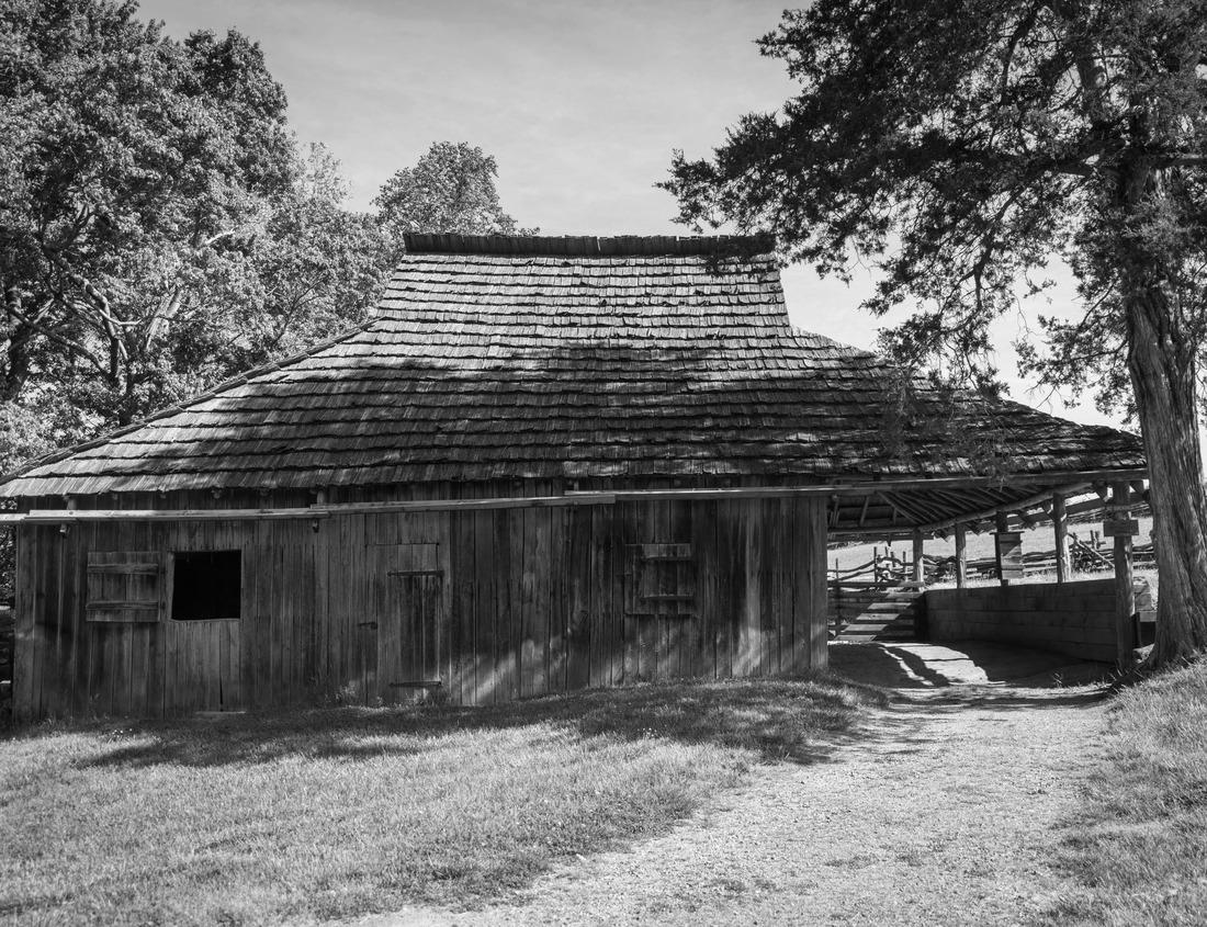 Noah Jigsaw Puzzle Aerial of Grand Anse beach at La Digue island in Seychelles. White sandy beach with blue ocean lagoon and catamaran yacht moored in black white 1000 pieces