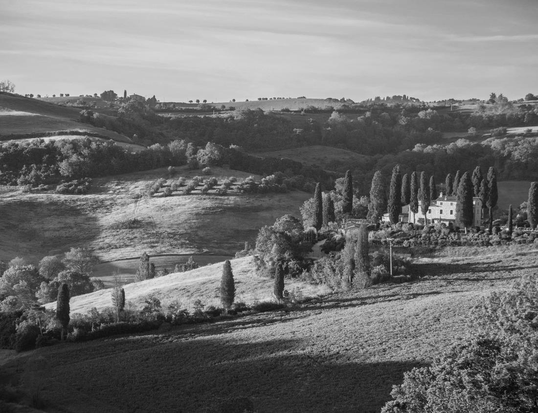 Noah Jigsaw Puzzle A gazebo near Reed Bingham Lake in Reed Bingham State Park, Adel, Colquitt County, Georgia in black white 1000 pieces