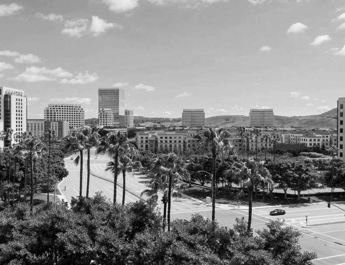 Noah Jigsaw Puzzle Mantled guereza on the branch. Group of guerezas in Uganda in black white 1000 pieces