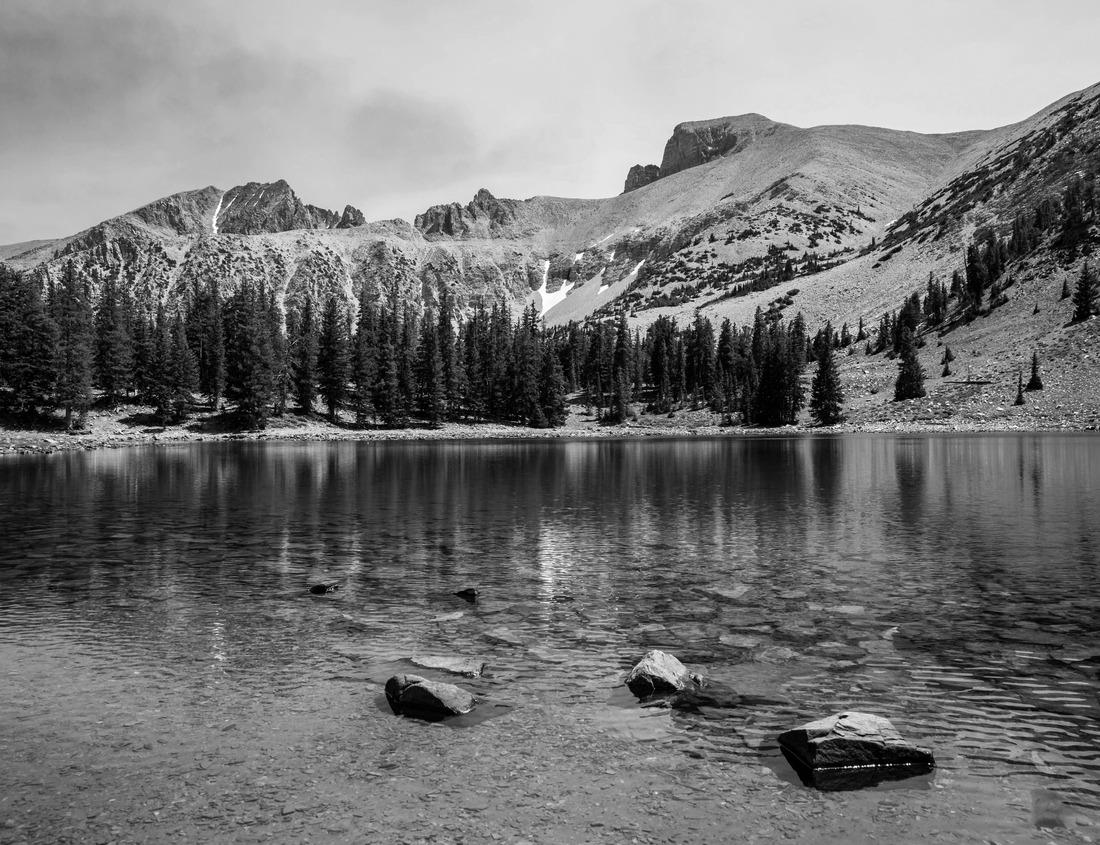 Noah Jigsaw Puzzle Asti, Piemont, Italy - The Cathedral of Santa Maria Assunta in black white 1000 pieces