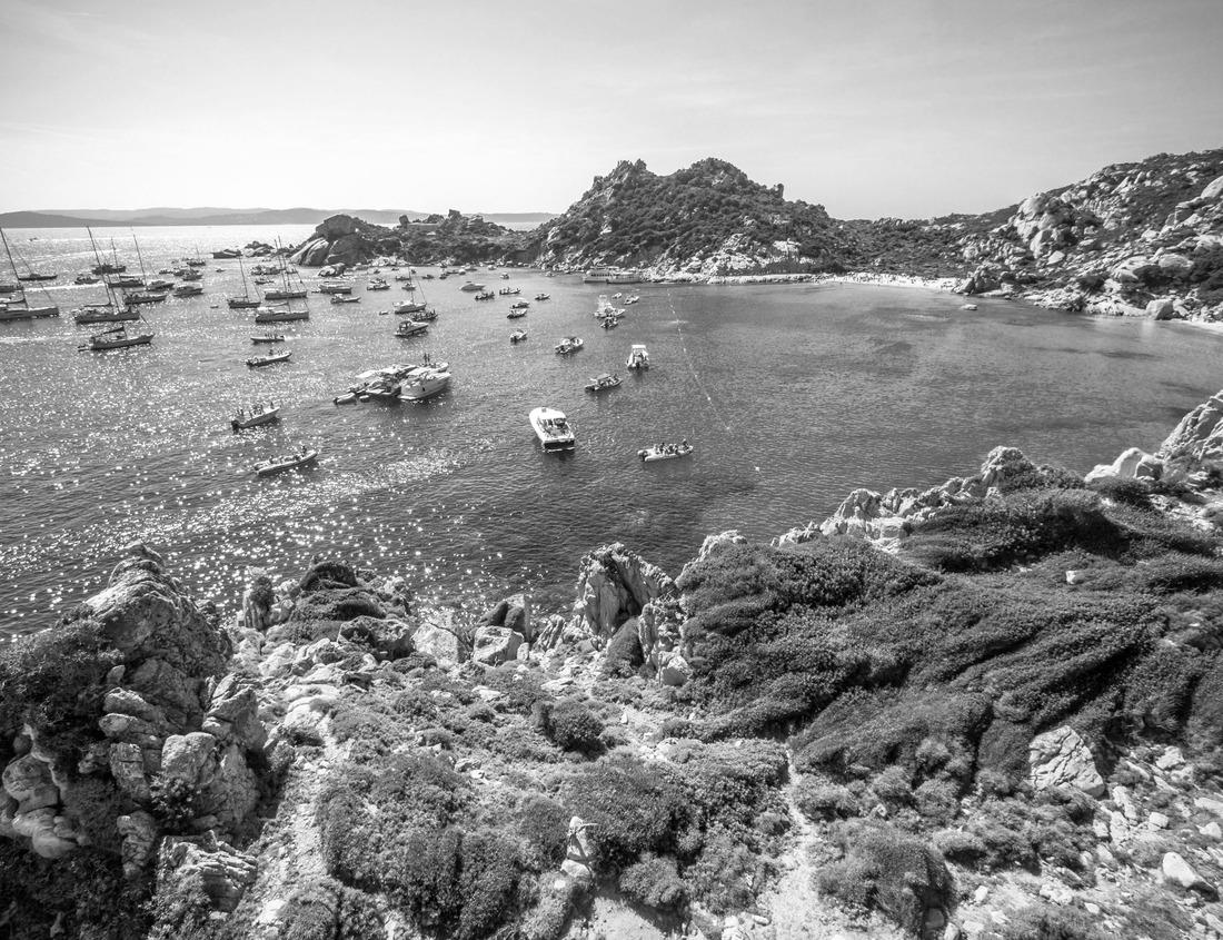 Noah Jigsaw Puzzle Lake Jesup fishing pier in Oviedo, FL in black white 1000 pieces