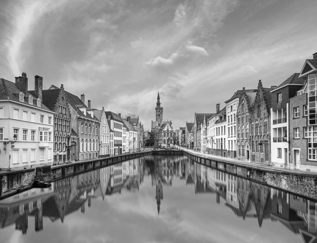 Noah Jigsaw Puzzle Chimpanzee in Kibale forest. Scold on the tree. Safari in Uganda in black white 1000 pieces