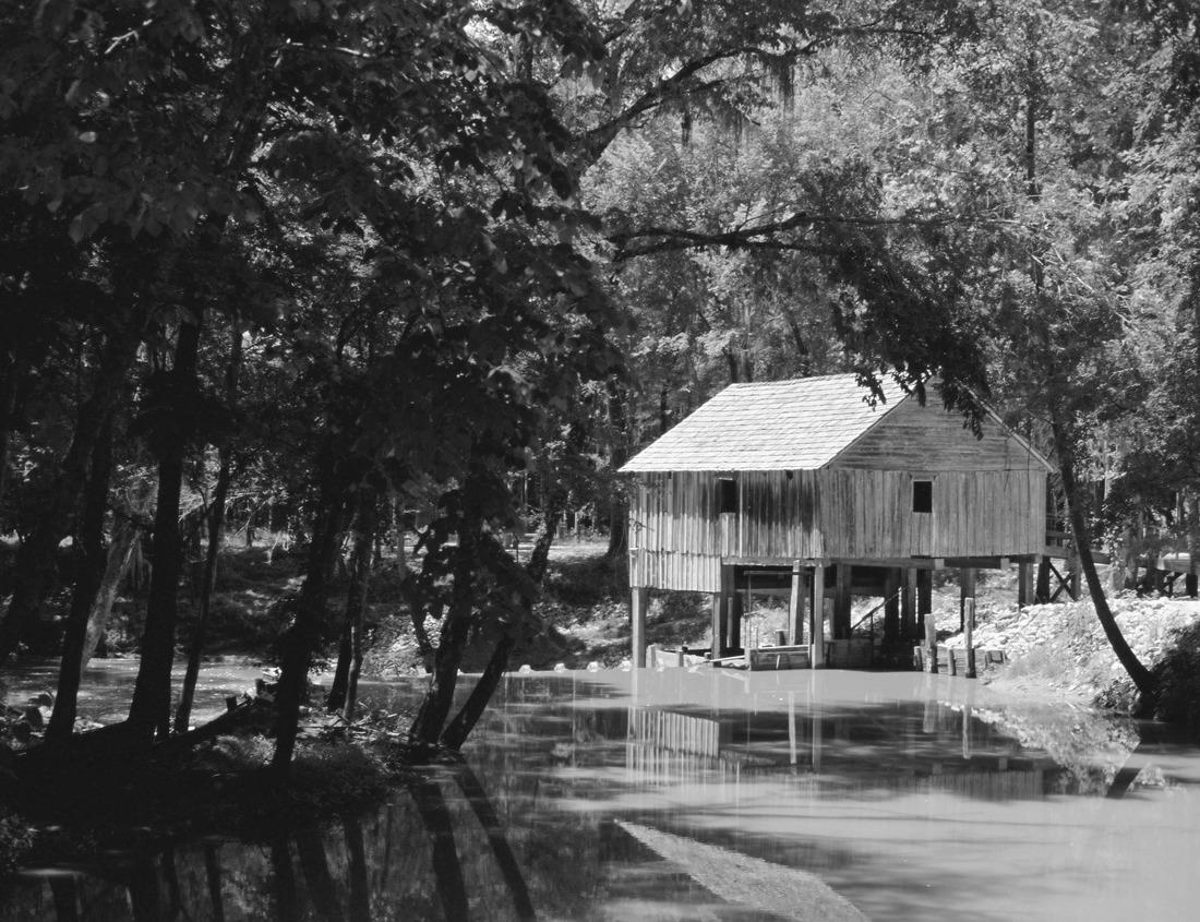 Noah Jigsaw Puzzle Chimpanzee, Pan troglodytes, at the tree in Kibale National Park, Uganda, dark forest. Black ape in nature, Uganda in Africa in black white 1000 pieces