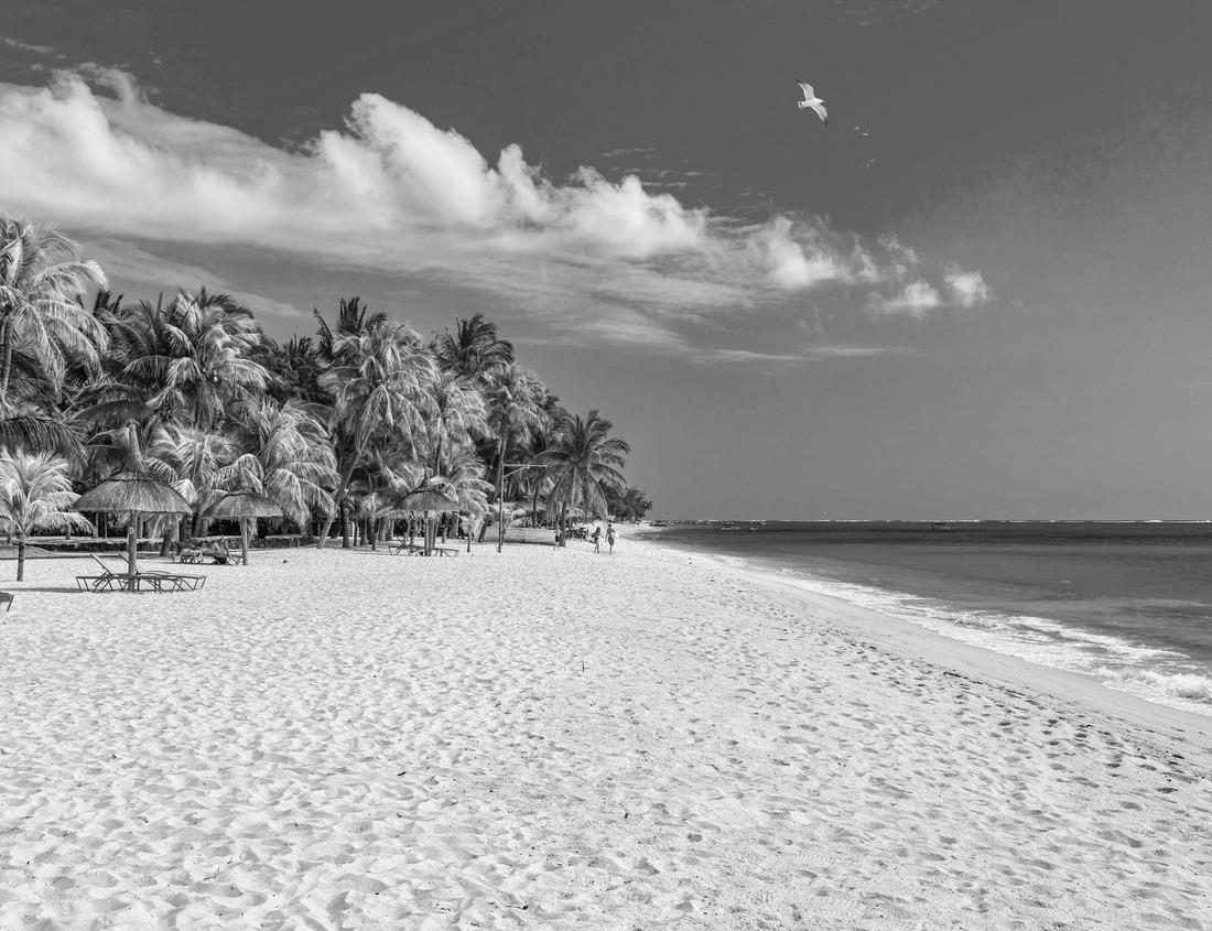 Noah Jigsaw Puzzle Aerial view, Callenberg Castle, hunting lodge and summer palace of the Dukes of Saxe-Coburg and Gotha, Coburg, Upper Franconia, Bavaria, Germany in black white 1000 pieces