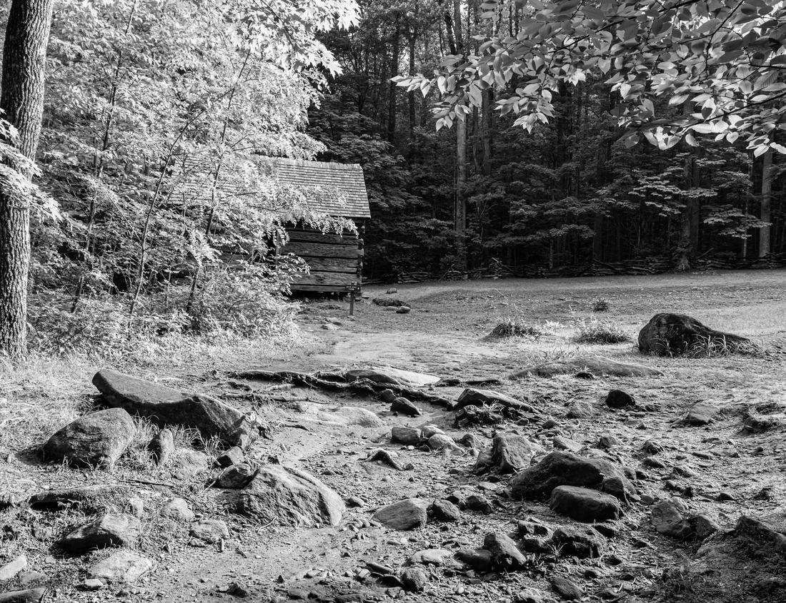 Noah Jigsaw Puzzle Elegant watercourse in nature. Uganda wildlife, Africa. Elephant in the rain. Elephant in Murchison Falls NP, Uganda. Large mammal in green grass, forest vegetation in background in black white 1000 pieces