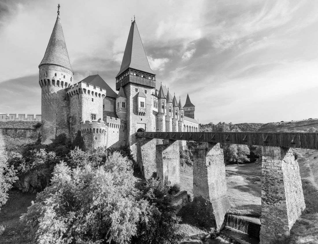 Noah Jigsaw Puzzle A happy tourist woman overlooks the colorful old town Alfama of Lisbon city, Portugal, and castle Sao Jorge on her sightseeing trip in black white 1000 pieces