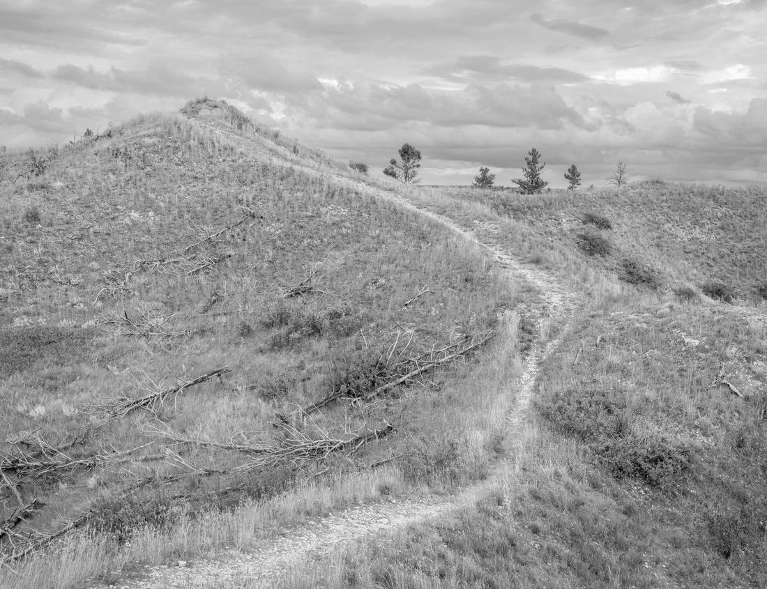 Noah Jigsaw Puzzle Facades of houses, towers and churches of the ancient district of Pelourinho in the beautiful city of Salvador, Bahia in black white 1000 pieces