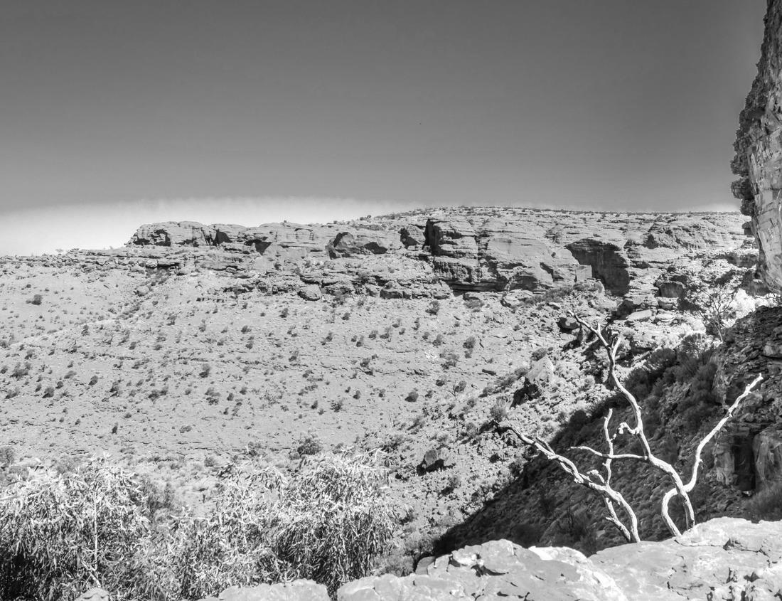 Noah Jigsaw Puzzle Asian scenery when the morning sun is beautiful over the mountains and green rice fields in the village of Kemumu, Bengkulu, Indonesia in black white 1000 pieces