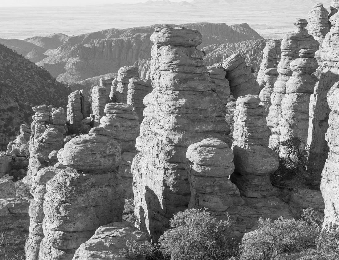 Noah Jigsaw Puzzle Neuburg an der Donau, Germany. Cityscape of Neuburg an der Donau, Germany at summer sunset in black white 1000 pieces