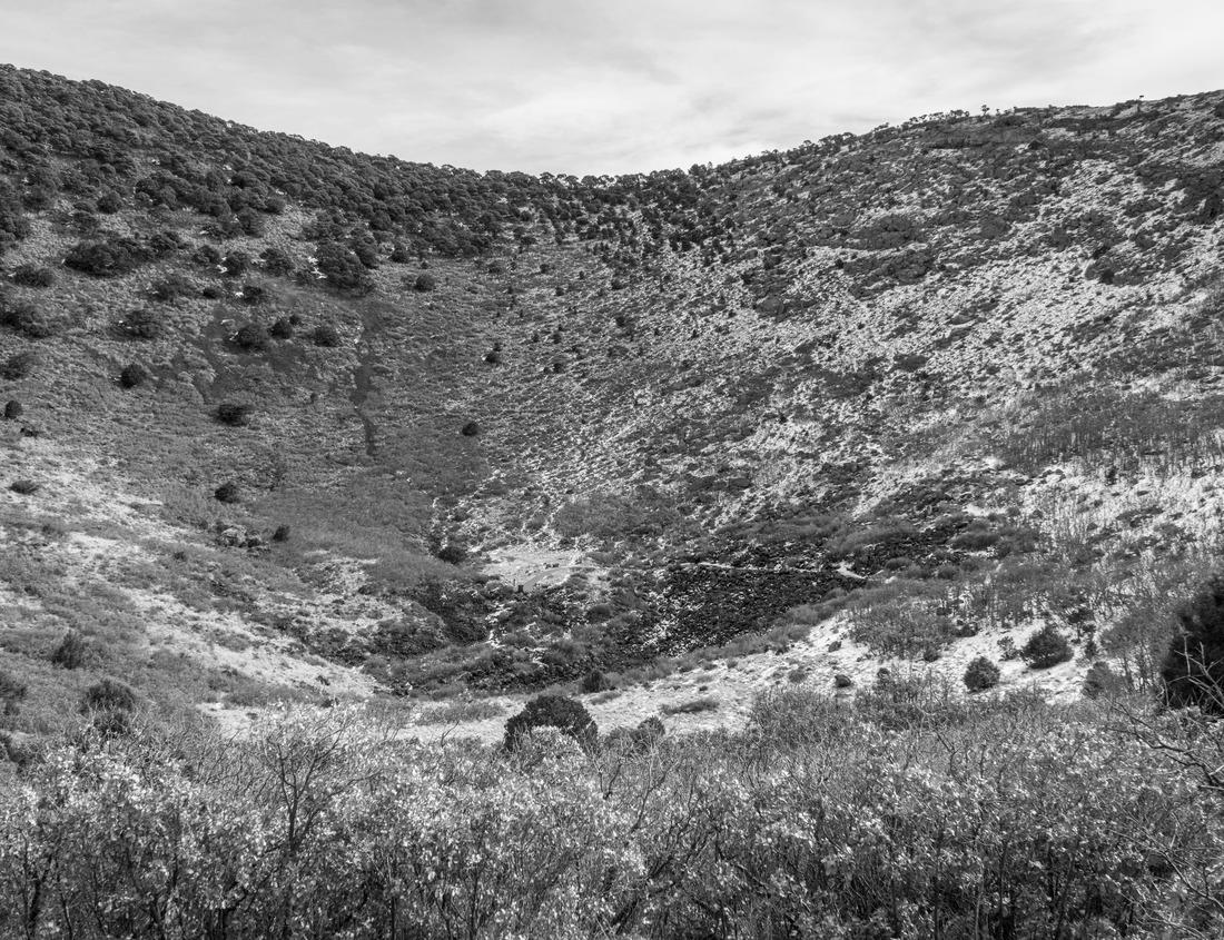 Noah Jigsaw Puzzle Cottbus, Germany. Old colorful houses on Sandower Straße in the historic center of the city in black white 1000 pieces