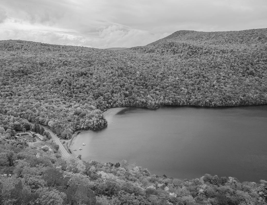 Noah Jigsaw Puzzle Baobab also called the “upside-down” tree because of the similarity of its thin branches to the roots or cream of the tartar tree (Adansonia digitata). Ruaha National Park. Tanzania in black white 1000 pieces