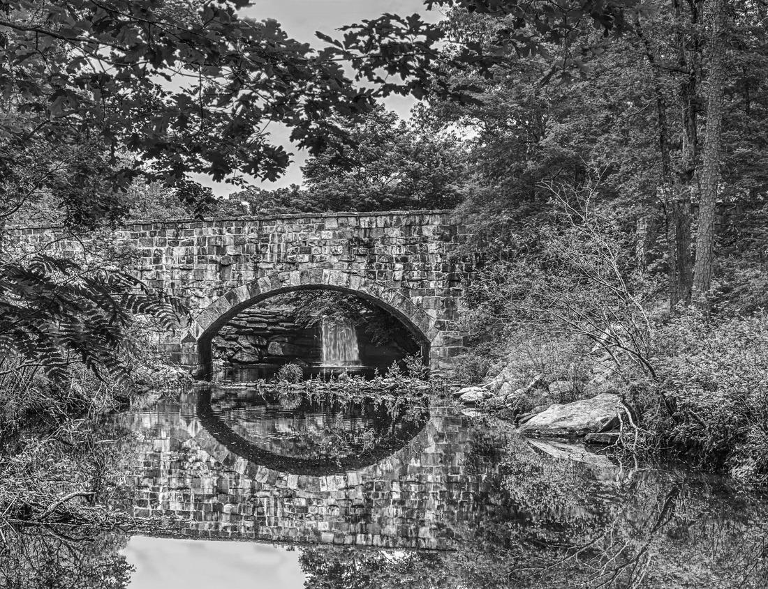 Noah Jigsaw Puzzle Grimes Canyon Road in Ventura County in black white 1000 pieces