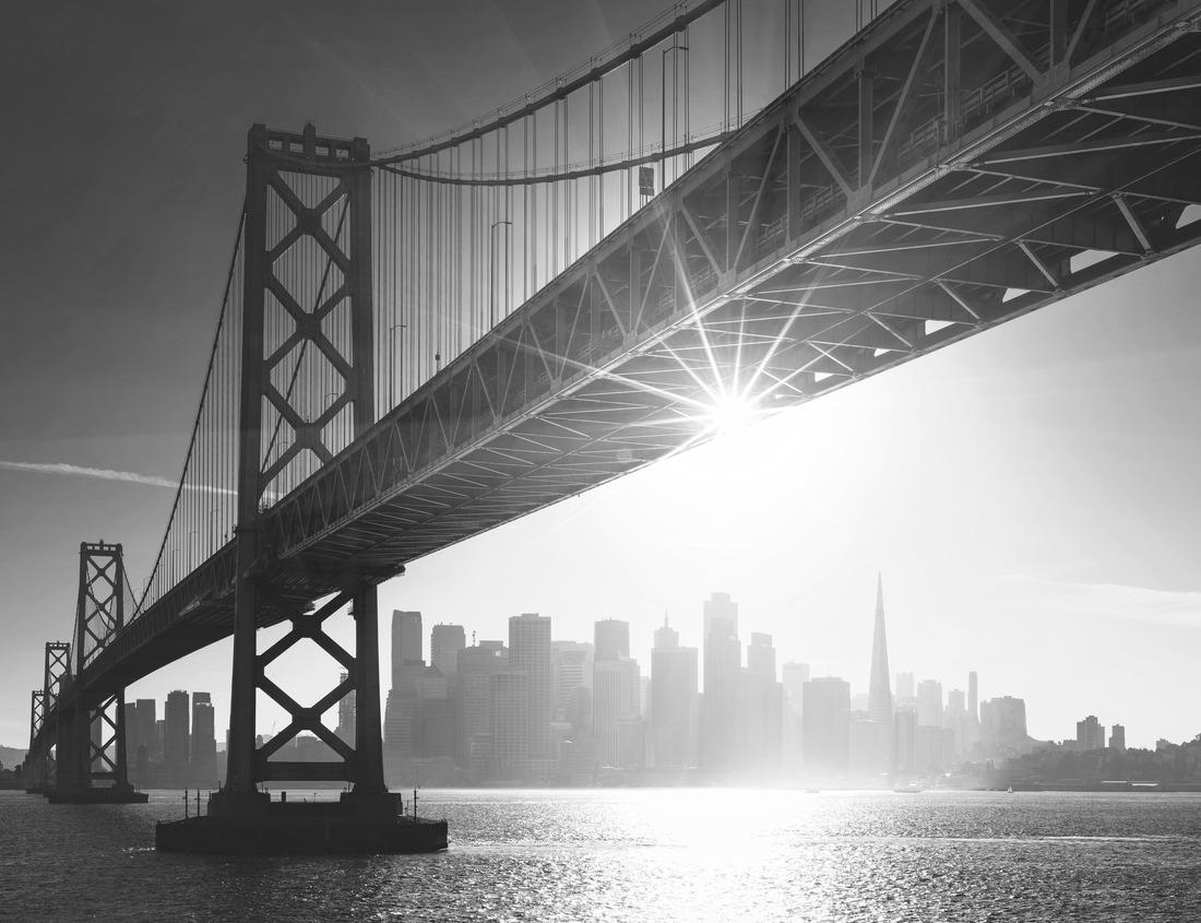 Noah Jigsaw Puzzle Des Moines, Iowa Skyline facing West in black white 1000 pieces