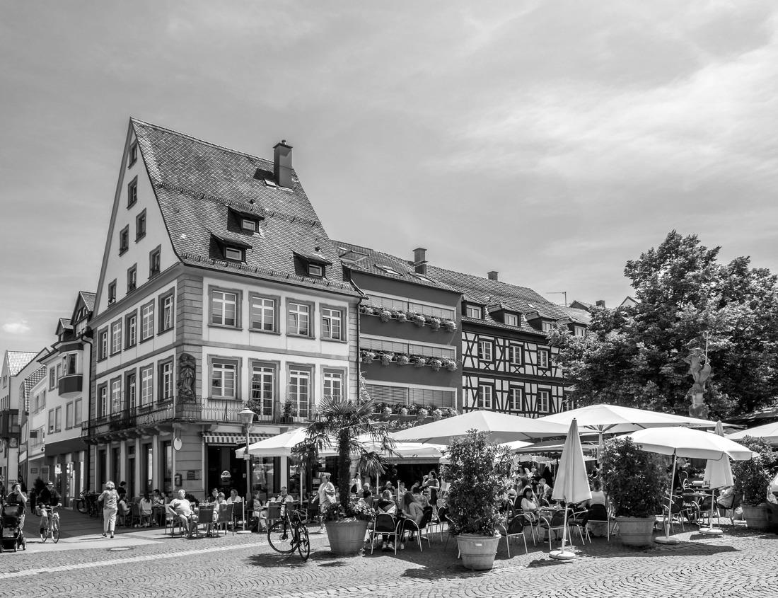 Noah Jigsaw Puzzle Herd of large antelopes, Mburo NP lake, Uganda in Africa. Taurotragus oryx, large brown African mammal in nature in black white 1000 pieces