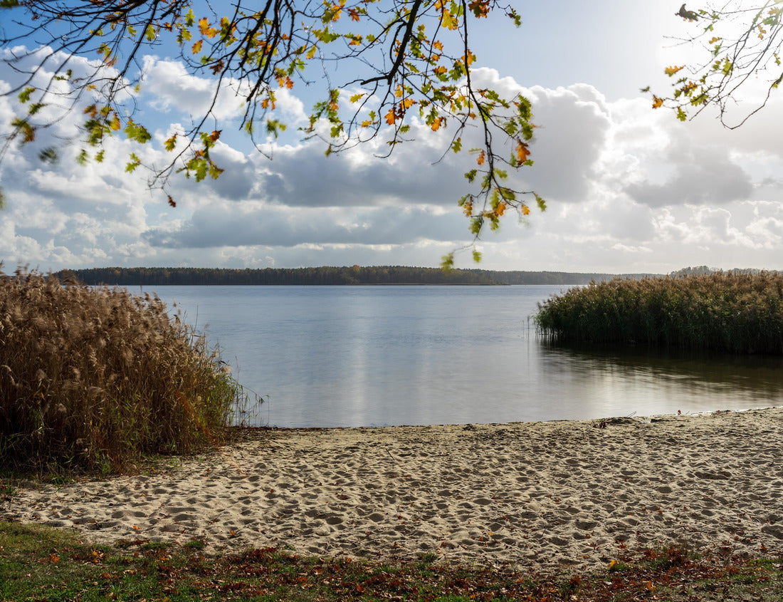 Noah Jigsaw Puzzle natural landscape. Senftenberger See. Federal state of Brandenburg. Germany 1000 pieces