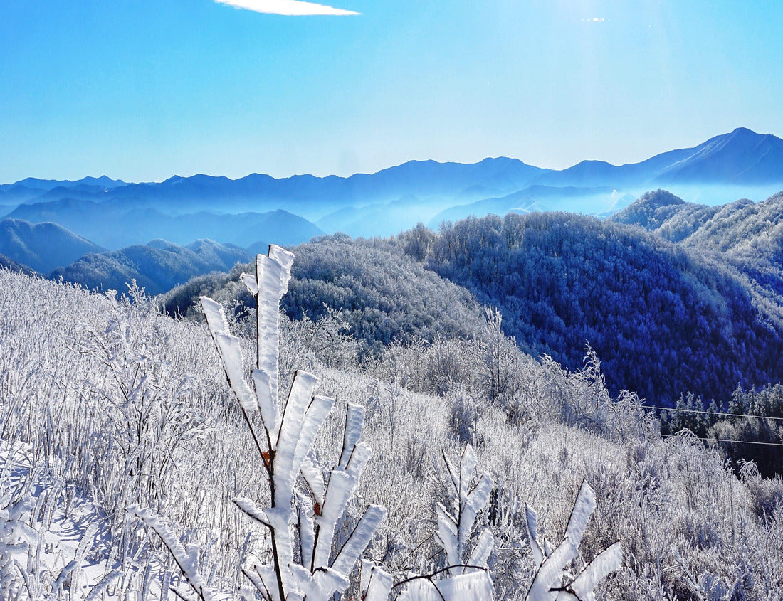 Noah Jigsaw Puzzle Blue Ridge Mountains in Snow. Spectacular view at Max Patch, North Carolina and Tennessee. Asheville. Great Smoky Mountains. Appalachian trails 1000 pieces