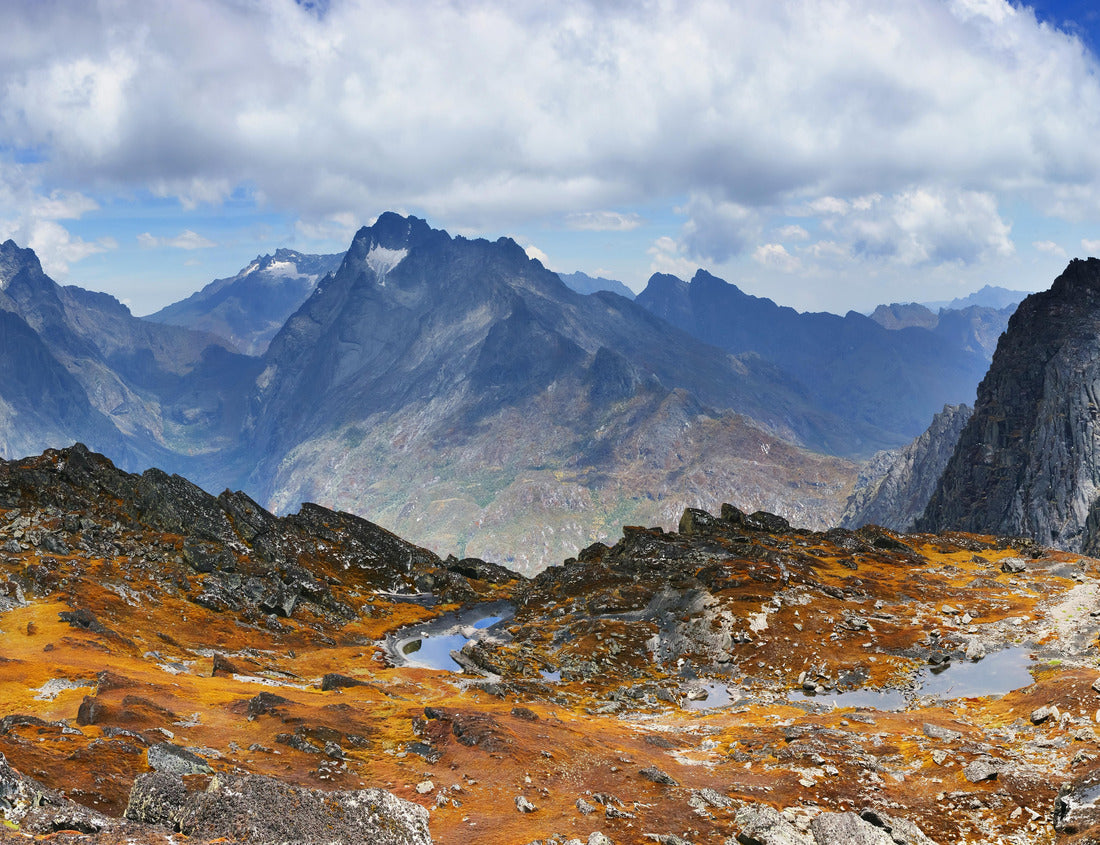 Noah Jigsaw Puzzle A moss-covered plateau with small pools of water. Weismann's Peak in Rwenzori Mountains National Park, Uganda 1000 pieces