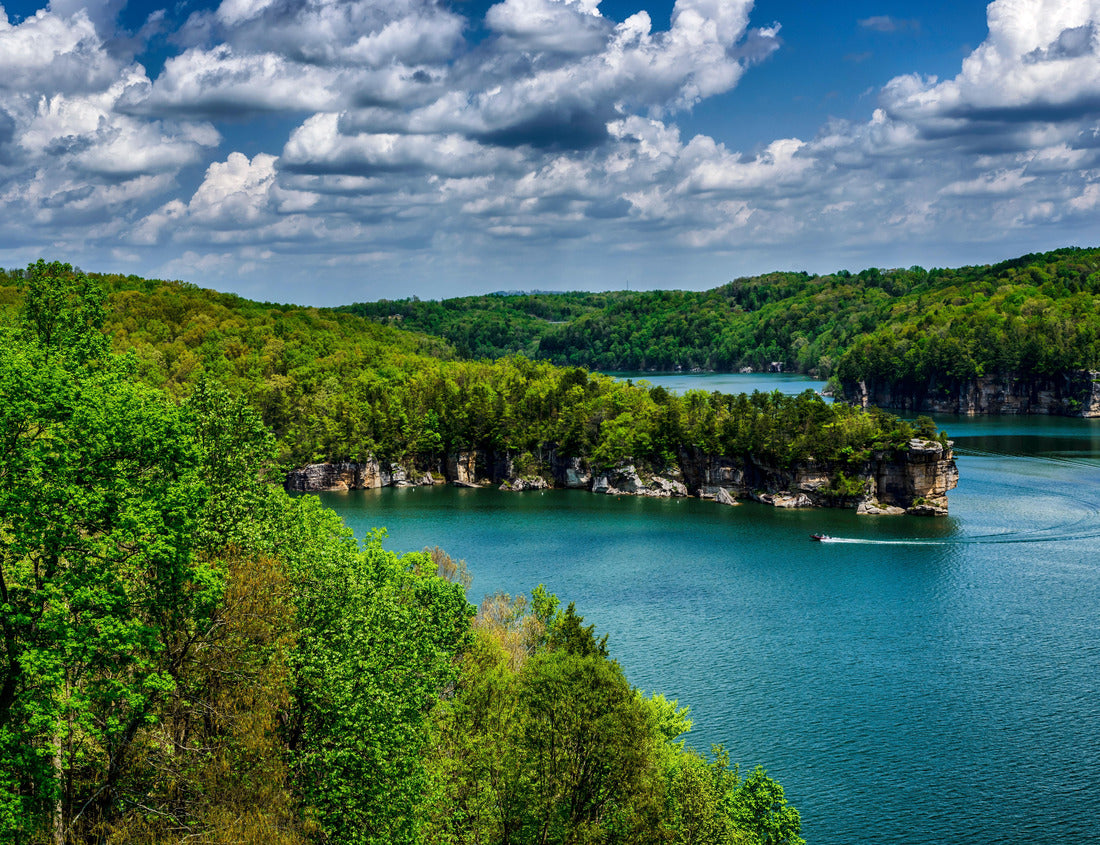 Noah Jigsaw Puzzle Long Point on Summersville Lake, Nicholas County, West Virginia, USA 1000 pieces