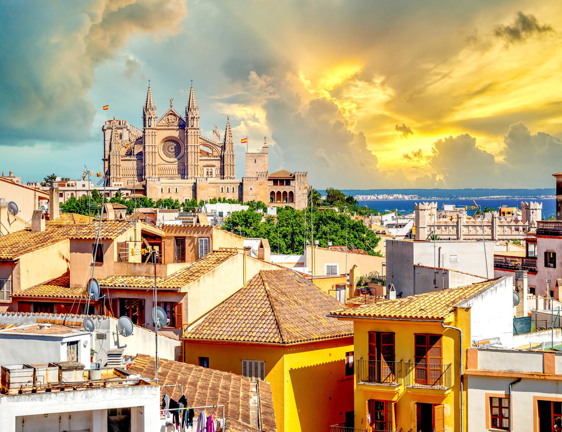 Noah Jigsaw Puzzle Cathedral of Palma de Mallorca, Spain 1000 pieces