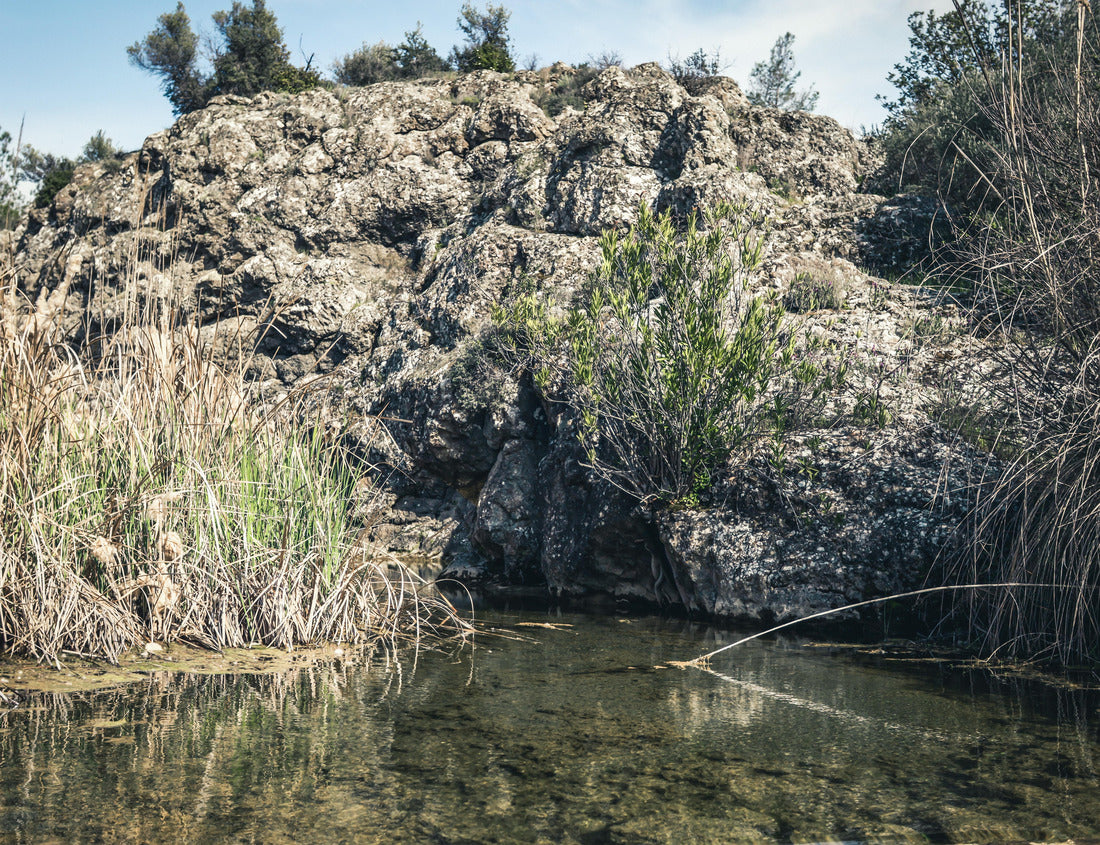 Noah Jigsaw Puzzle Clear Water in the River Vathy Argaki with Stones at the Bottom Feeding the Dipotamos Reservoir in the Potamos National Park surrounded by Reeds and Gray Rocks (Kornos, Larnaca District, Cyprus) 1000 pieces