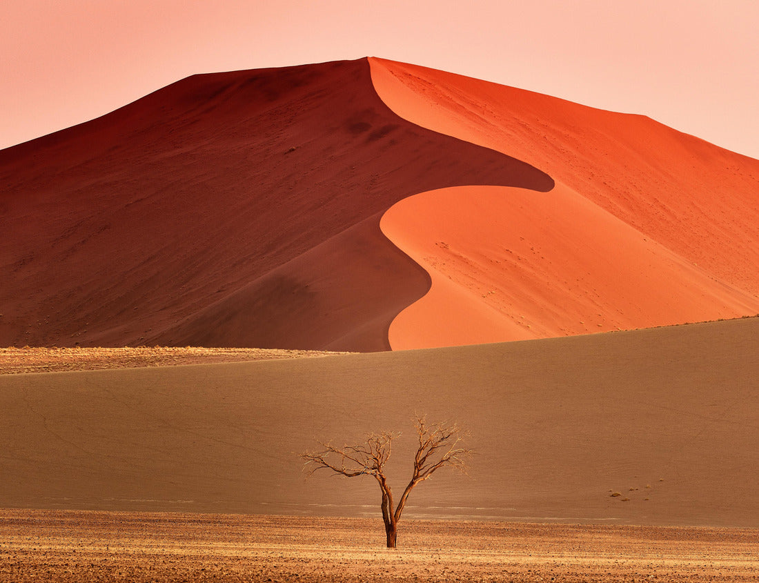 Noah Jigsaw Puzzle Namibia Dunes sunrise in Desert 1000 pieces