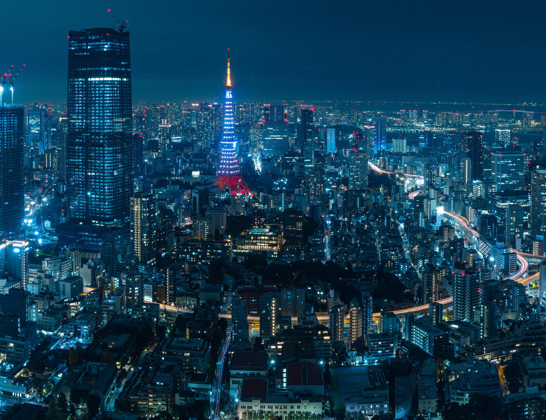 Noah Jigsaw Puzzle Beautiful architecture building cityscape and illuminated Tokyo Tower from the observation deck of Roppongi Hills at night in Tokyo, Japan 1000 pieces