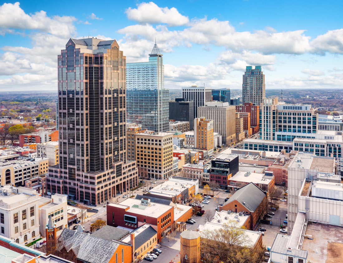 Noah Jigsaw Puzzle Aerial view of Raleigh, North Carolina skyline on a sunny day 1000 pieces