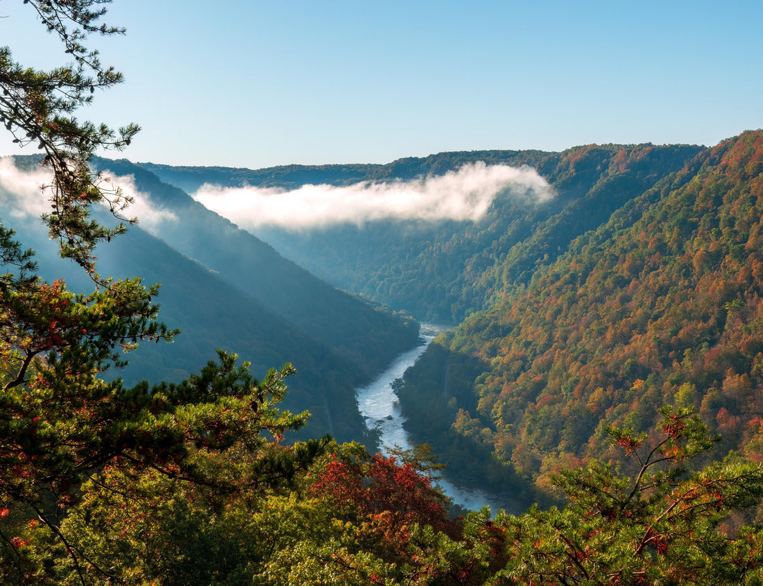 Noah Jigsaw Puzzle Fall colors and mist in the New River Gorge National Park on a fall morning 1000 pieces