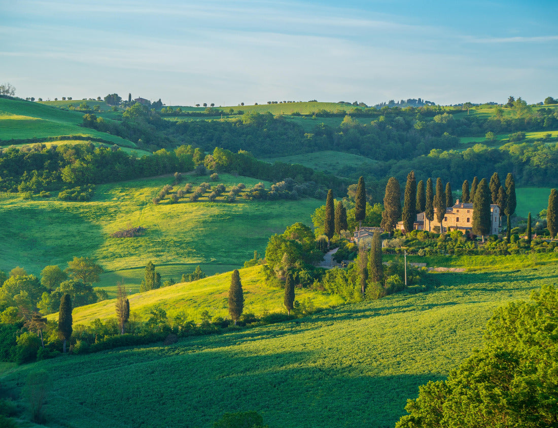 Noah Jigsaw Puzzle Landscape Tuscany, Italy 1000 pieces