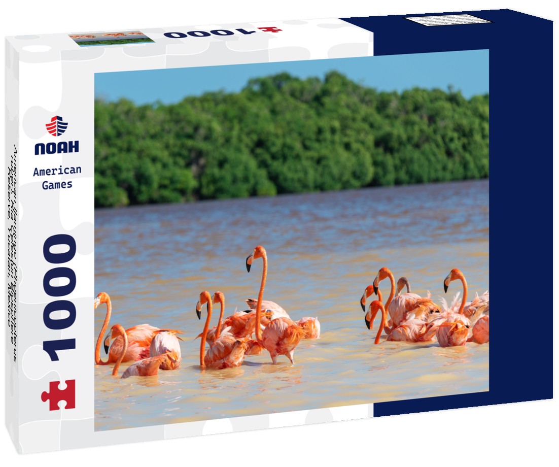 Noah Jigsaw Puzzle American flamingo (Phoenicopterus ruber), Ria Celestun Biosphere Reserve, Yucatan, Mexico 1000 pieces