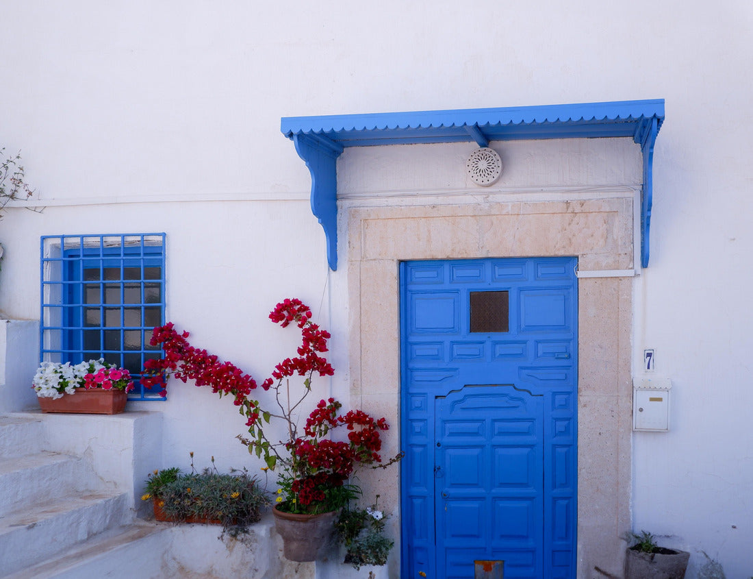 Noah Jigsaw Puzzle Colored traditional doors on the streets of Tunisia, old doors in and blue, beautiful white Tunisian streets, blue windows and doors, city tours in Tunisia, Sidi Bou Said view 1000 pieces