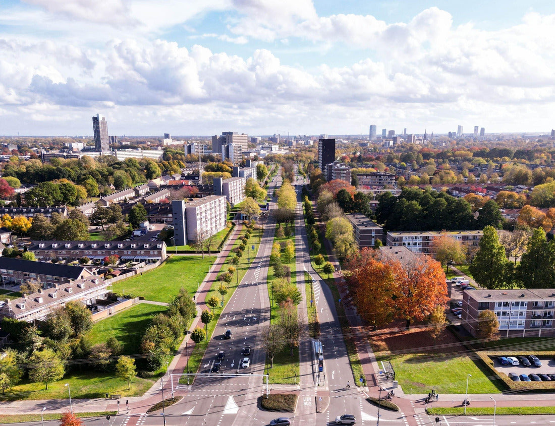 Noah Jigsaw Puzzle An aerial view of the vibrant urban Eindhoven cityscape with multiple buildings and trees 1000 pieces