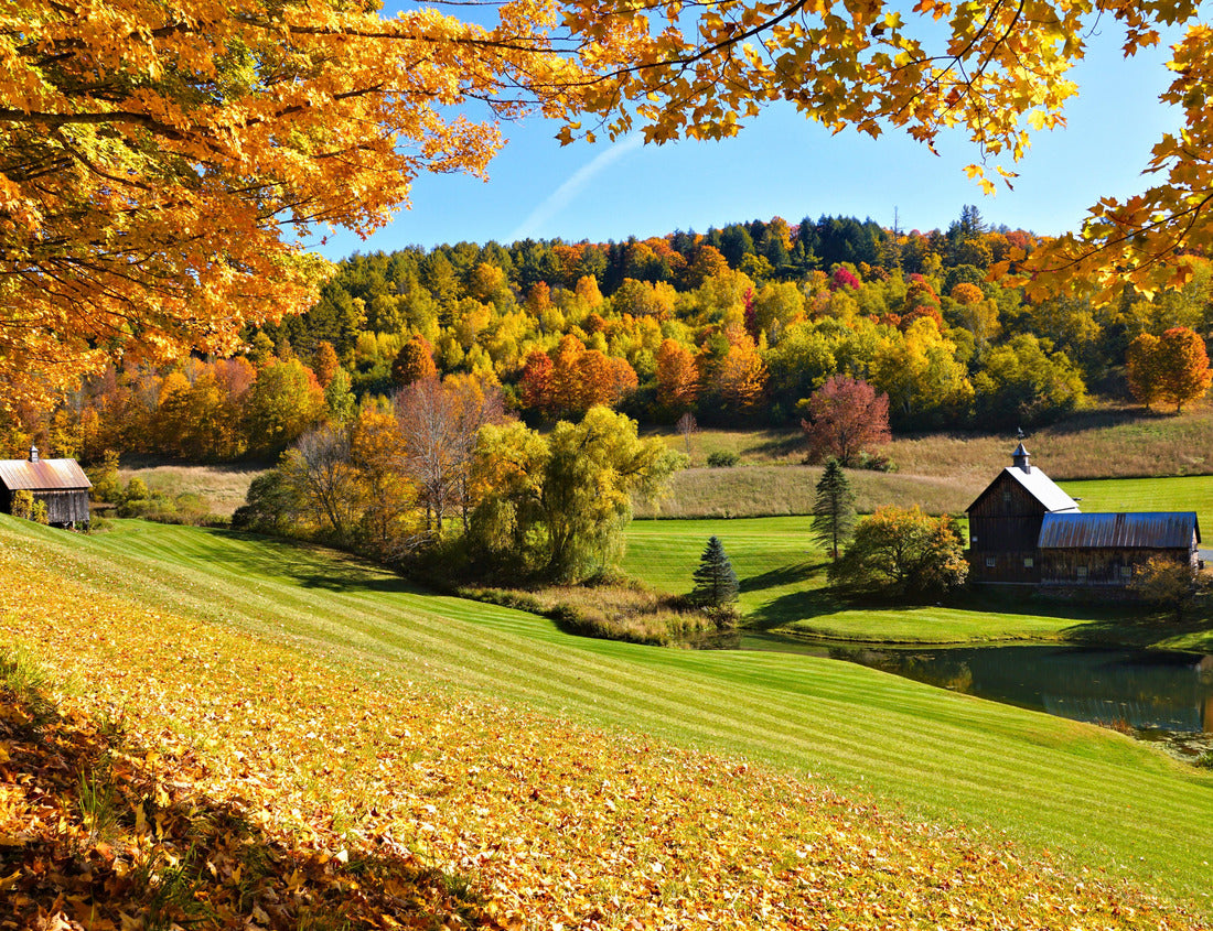Noah Jigsaw Puzzle Autumn countryside with frame of colorful leaves and rustic wooden barns near Woodstock, Vermont, USA 1000 pieces